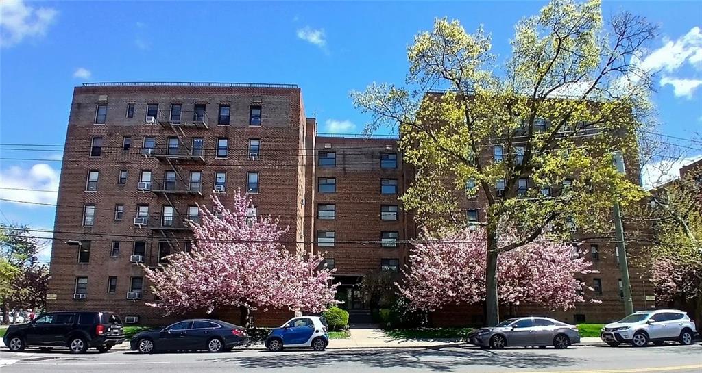 2209 Knapp Street 5G, Brooklyn, New York, 11229 image 6