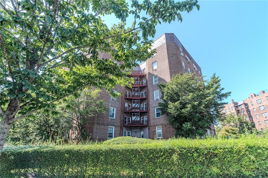 902 Ocean Parkway 3F, Brooklyn, New York, 11230 image 10