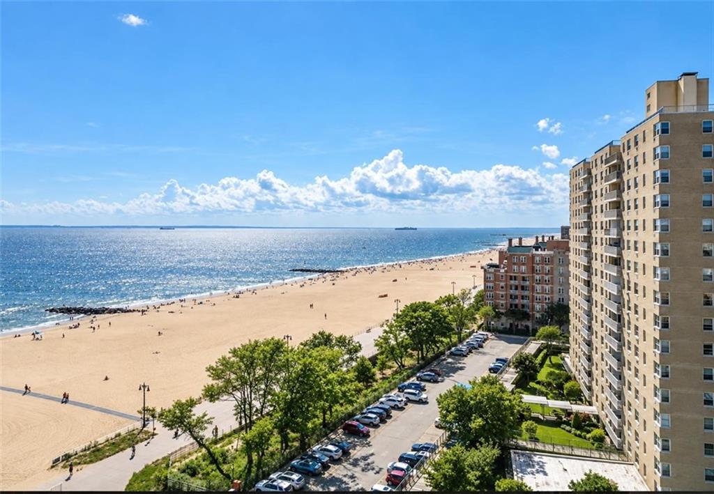 1311 BRIGHTWATER Avenue 3E, Brooklyn, New York, 11235 image 19