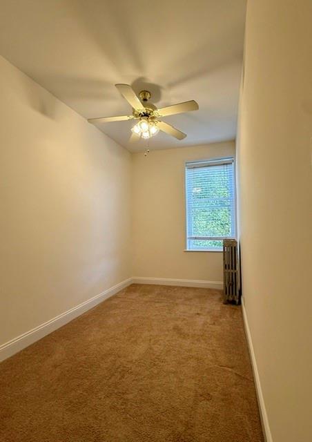 3421 Ave S Estate, Brooklyn, New York, 11234 image 8