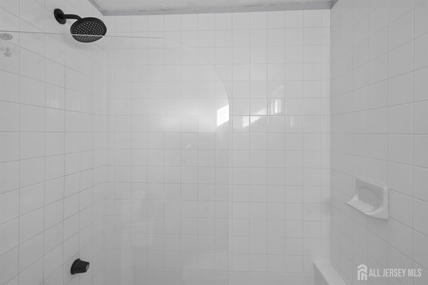 1337 S 2nd Street, Plainfield, NJ, 07063 image 11