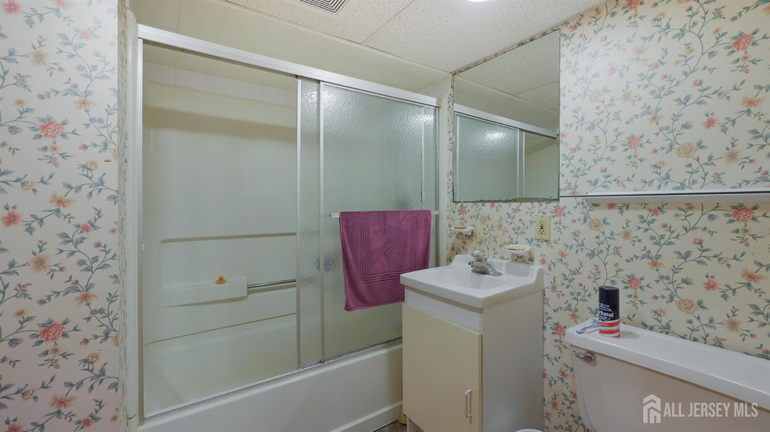 242 Karsey Street, Highland Park, NJ, 08904 image 28
