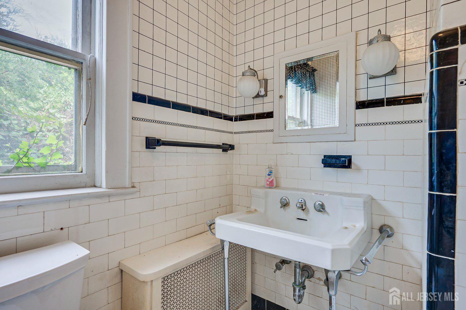 462 Union Avenue, Middlesex, NJ, 08846 image 18