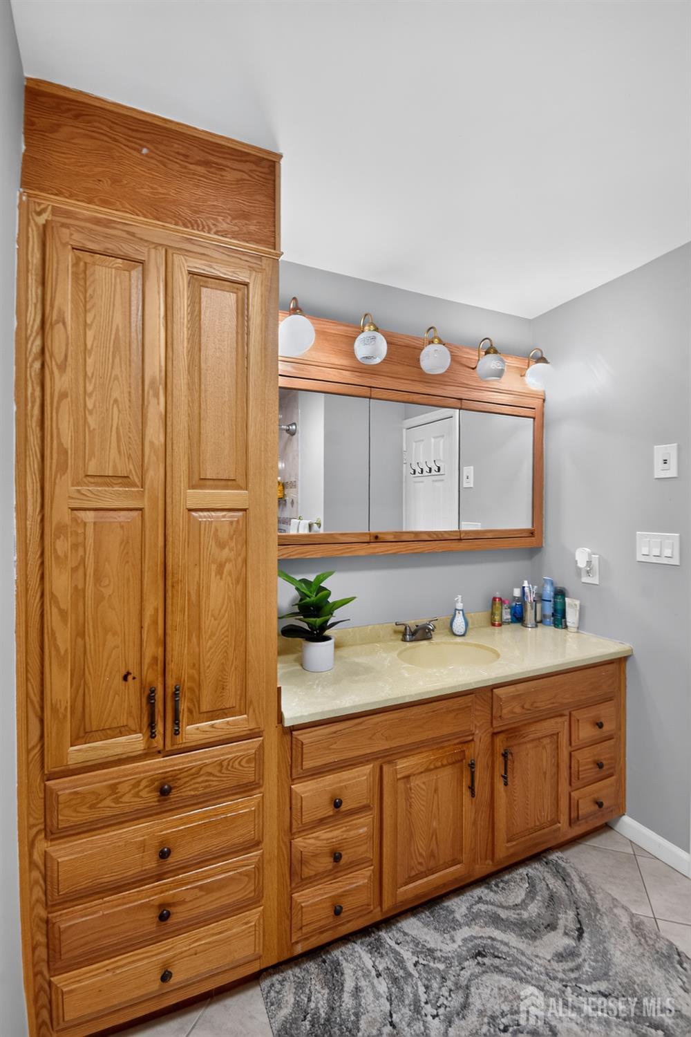 62 Macafee Road, Franklin Twsp, NJ, 08873 image 9