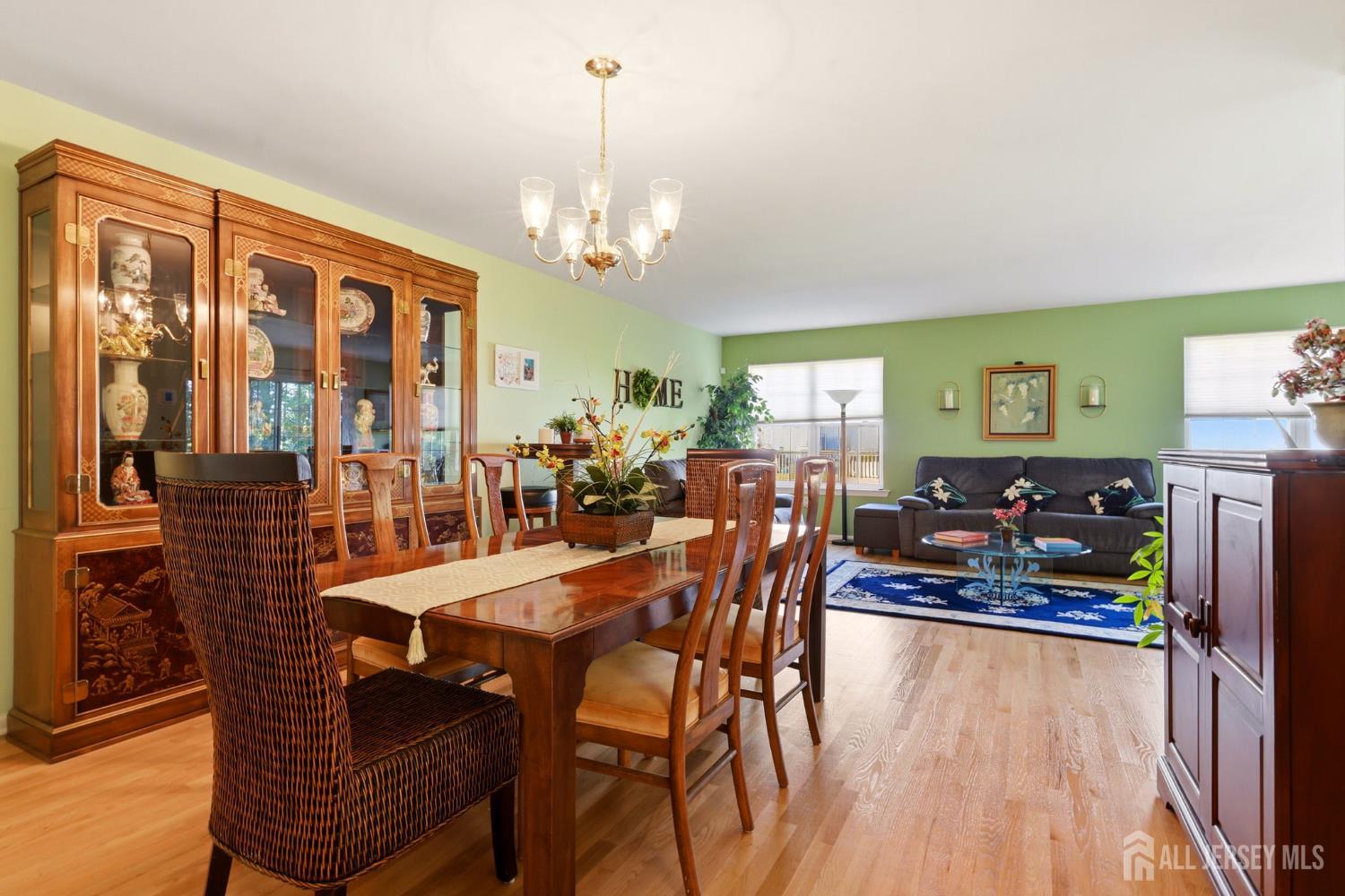17 Hanna Lane, Old Bridge, NJ, 08879 image 12