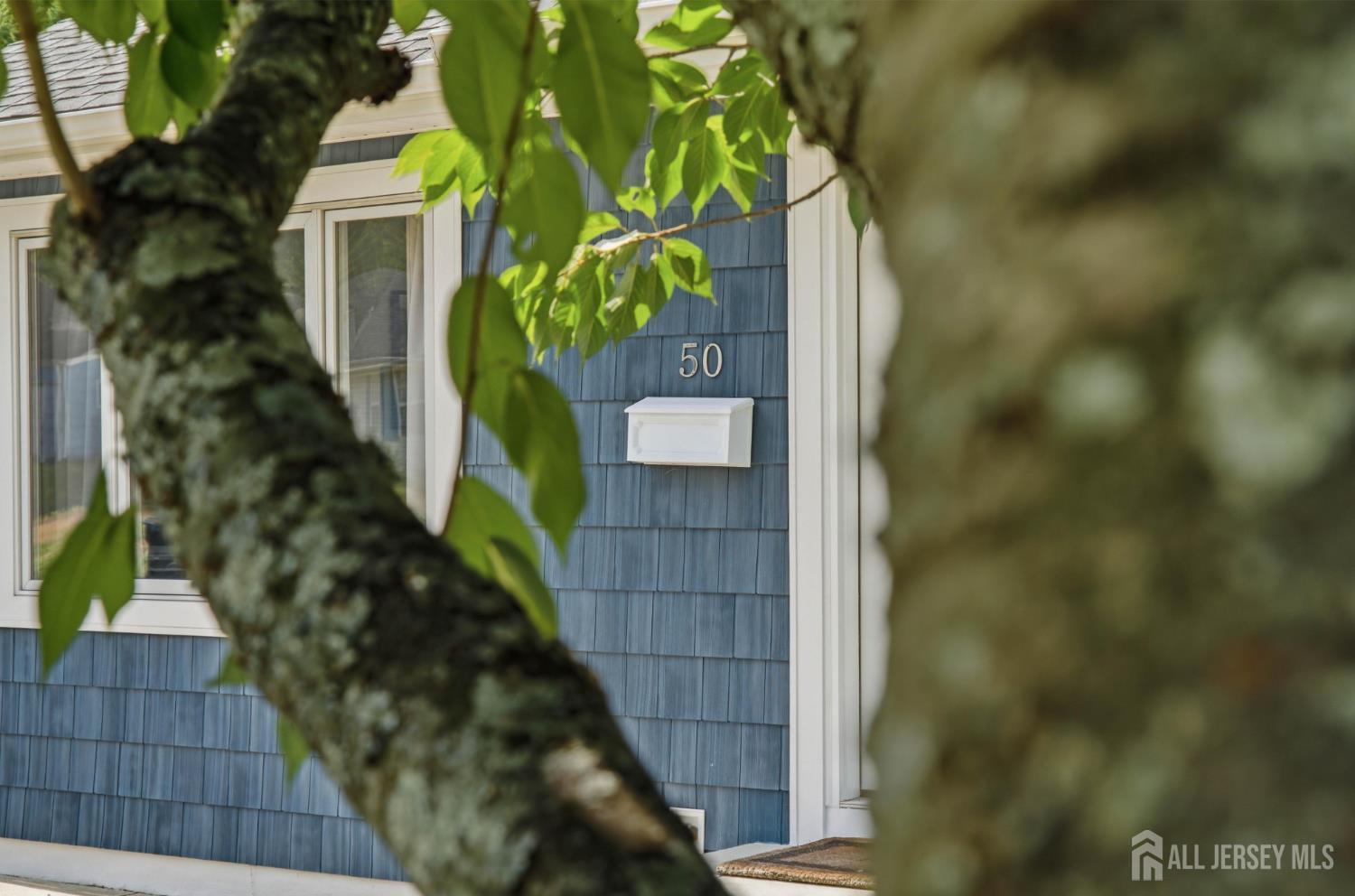 50 Fairview Drive Image 4