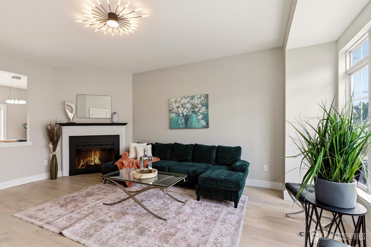 8 Somerset Street Image 5