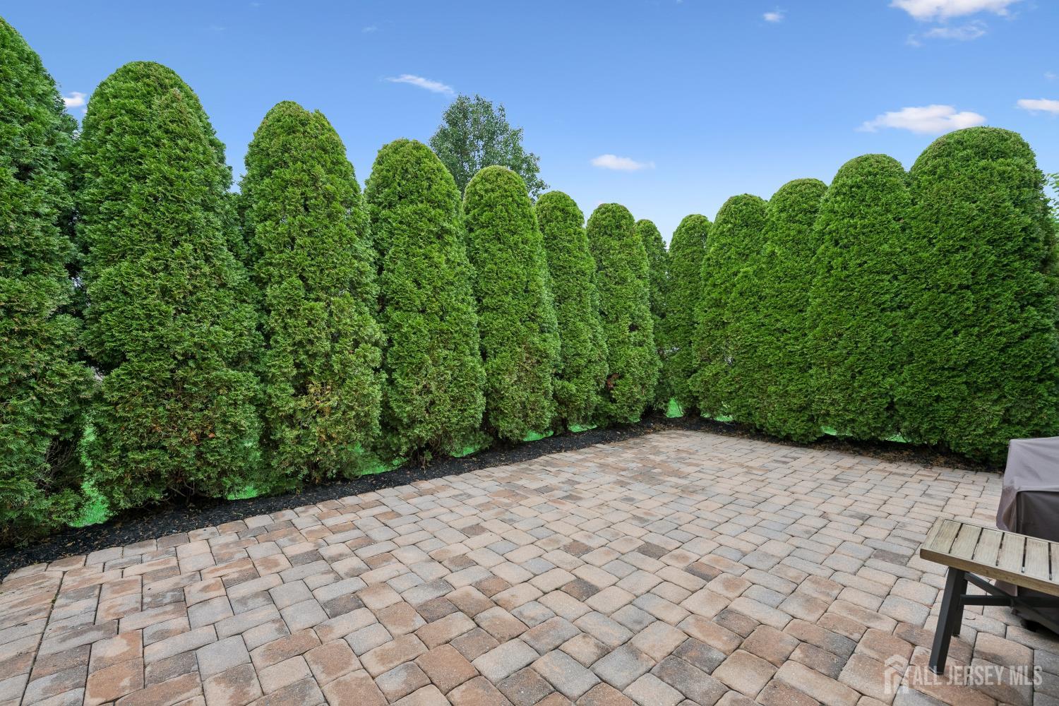 36 Einstein Way, East Windsor, NJ, 08512 image 37