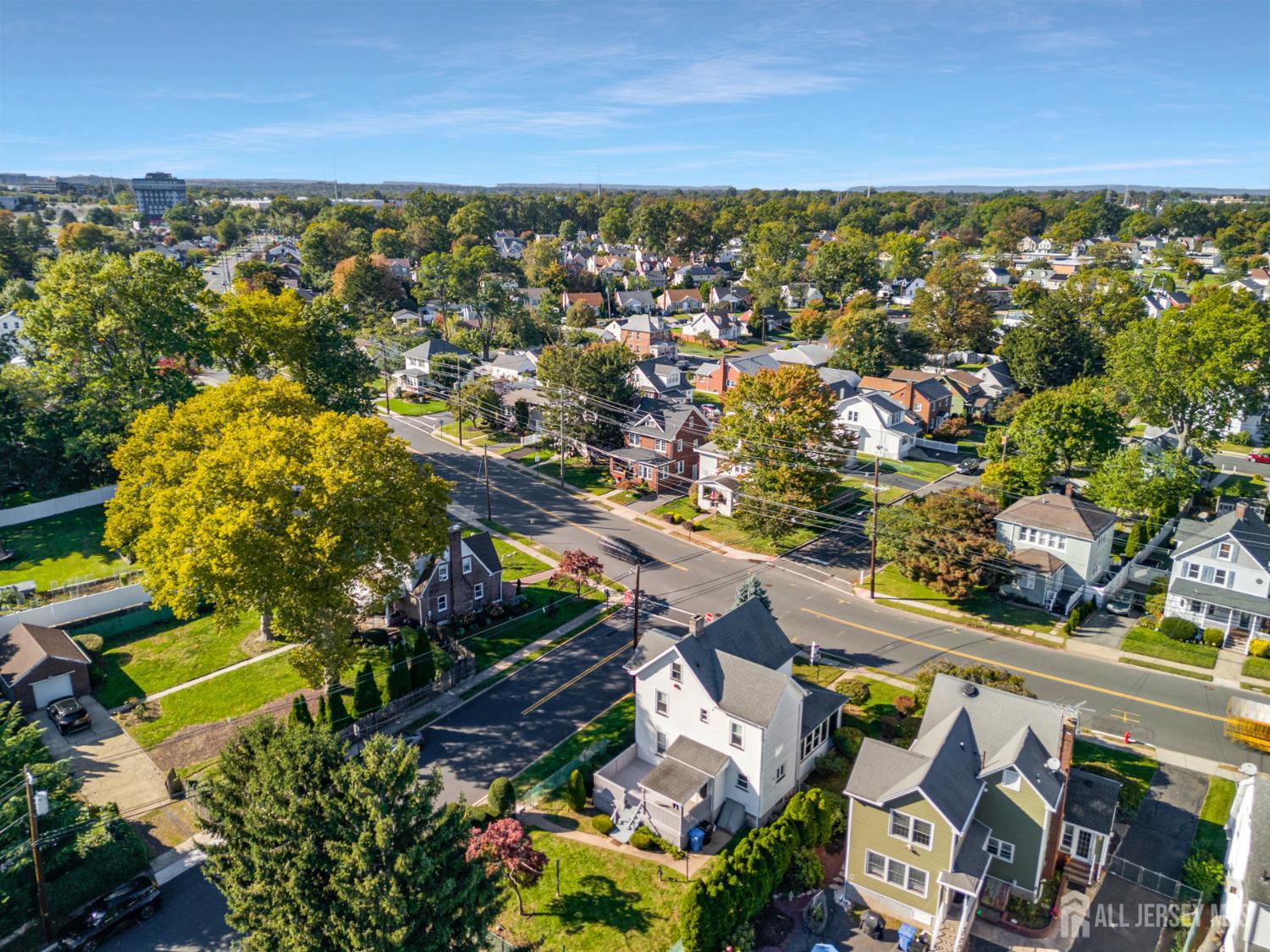 205 Green Street, Woodbridge Proper, NJ, 07095 image 23