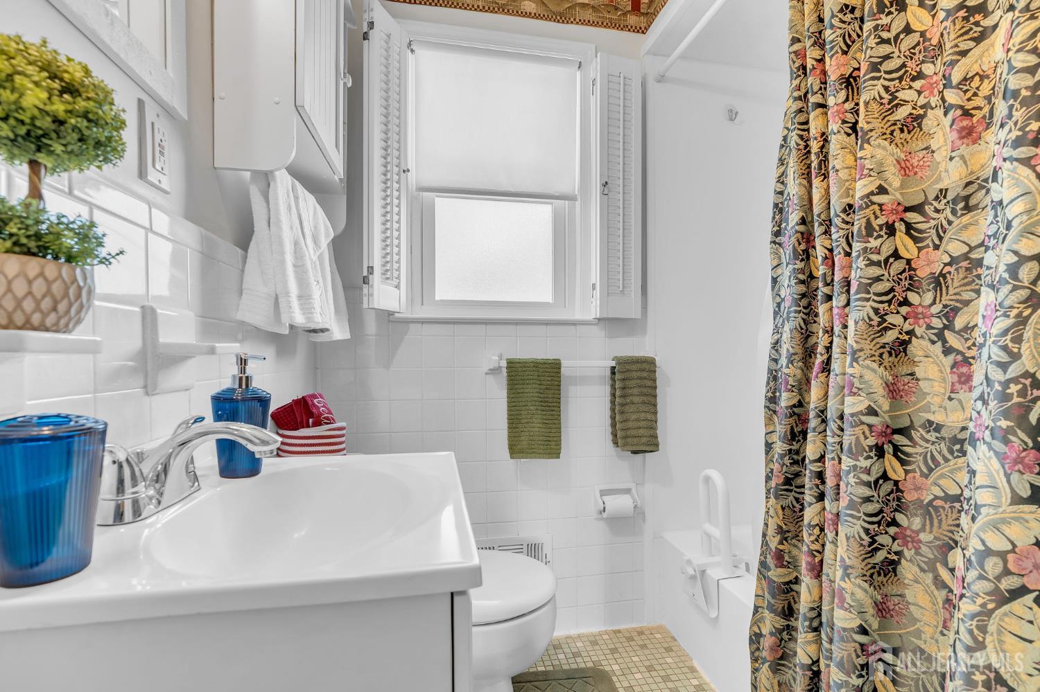 12 Emma Place, Piscataway, NJ, 08854 image 20