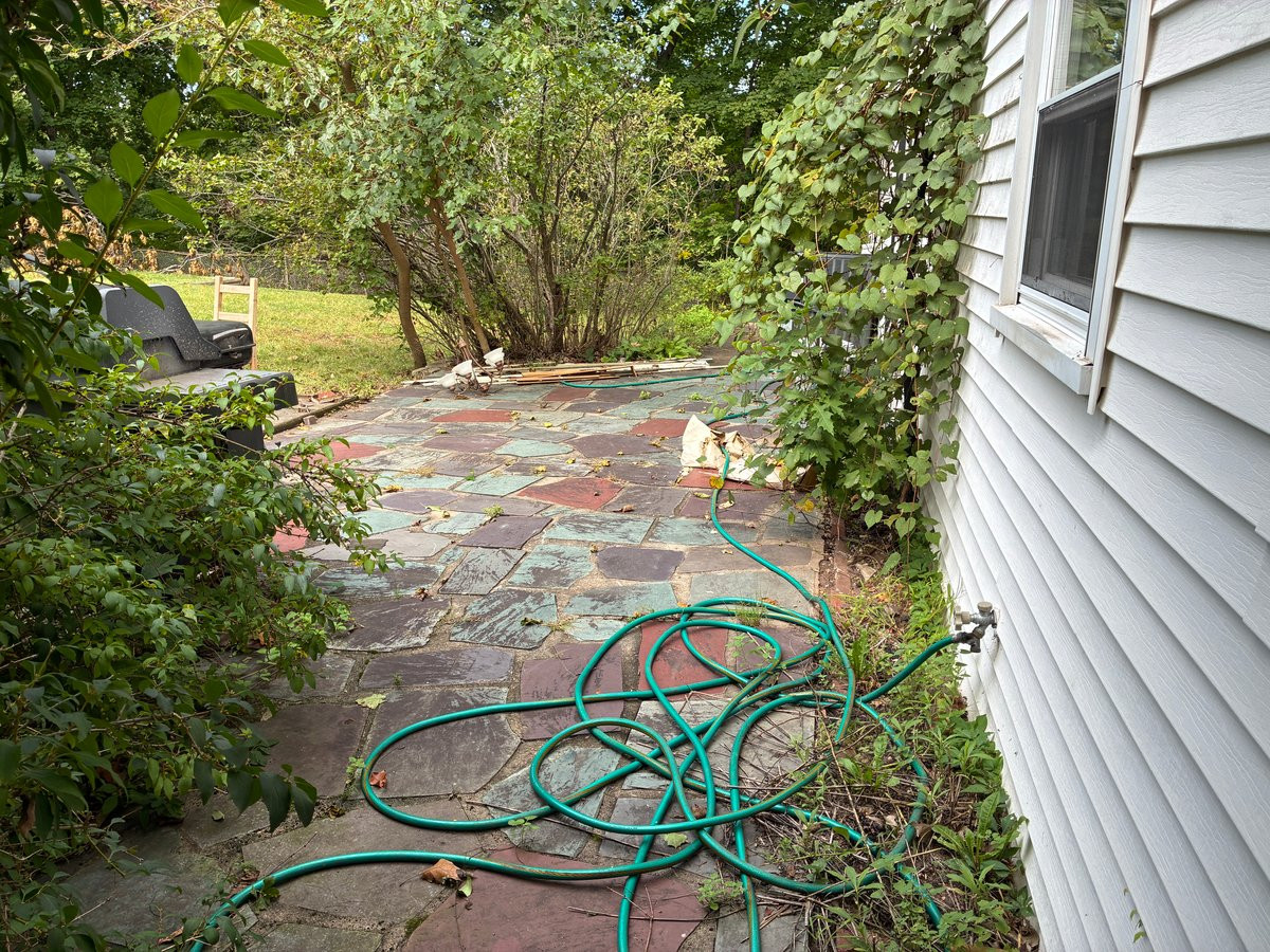 15 Allston Road Image 5
