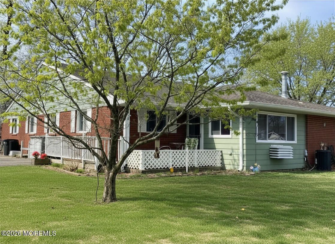 11 B Lark Street Image 3
