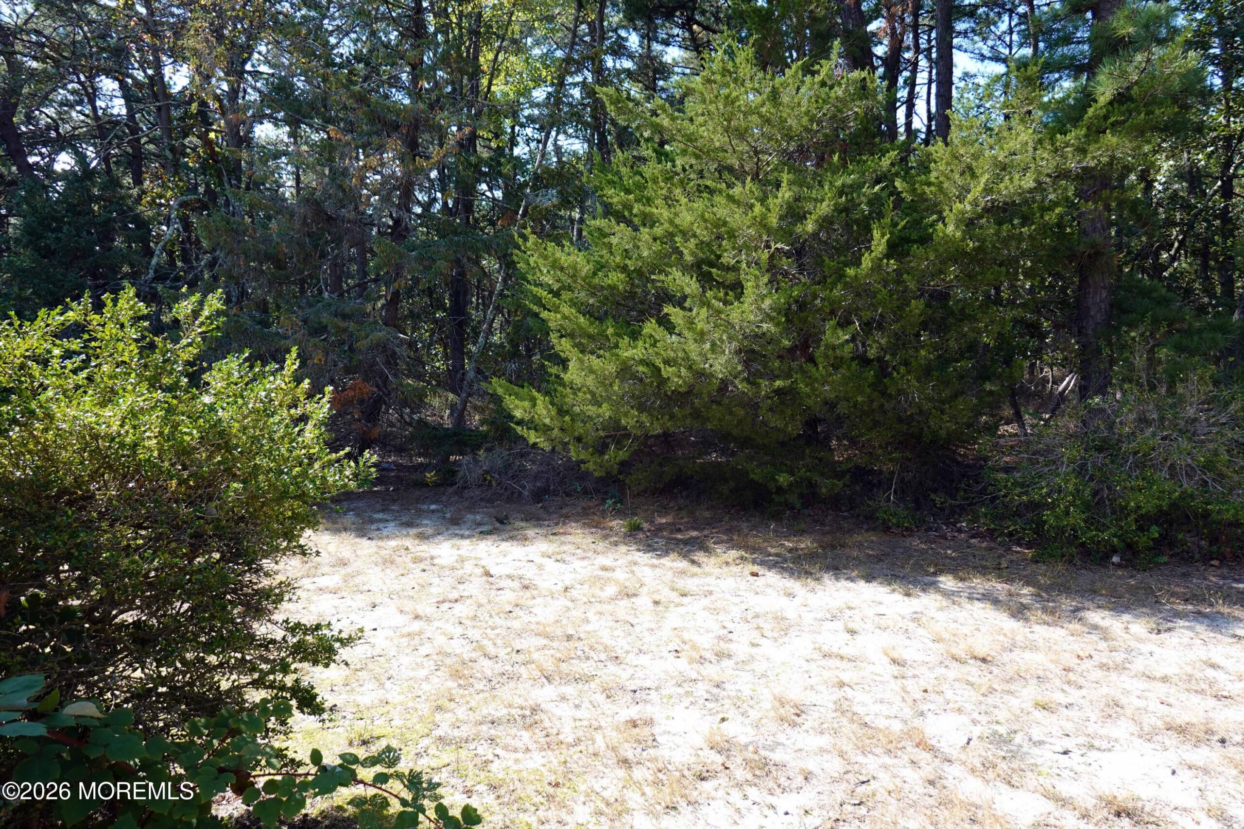 8B Spring Street 50, Whiting, NJ, 08759 image 15