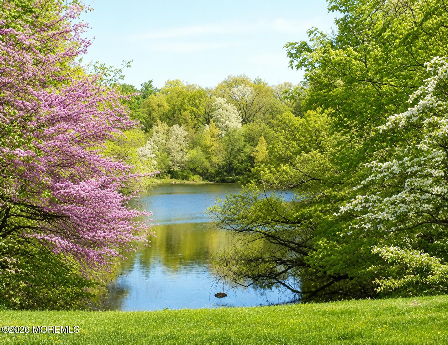 8 Seagull Lane, Howell, NJ, 07731 image 23