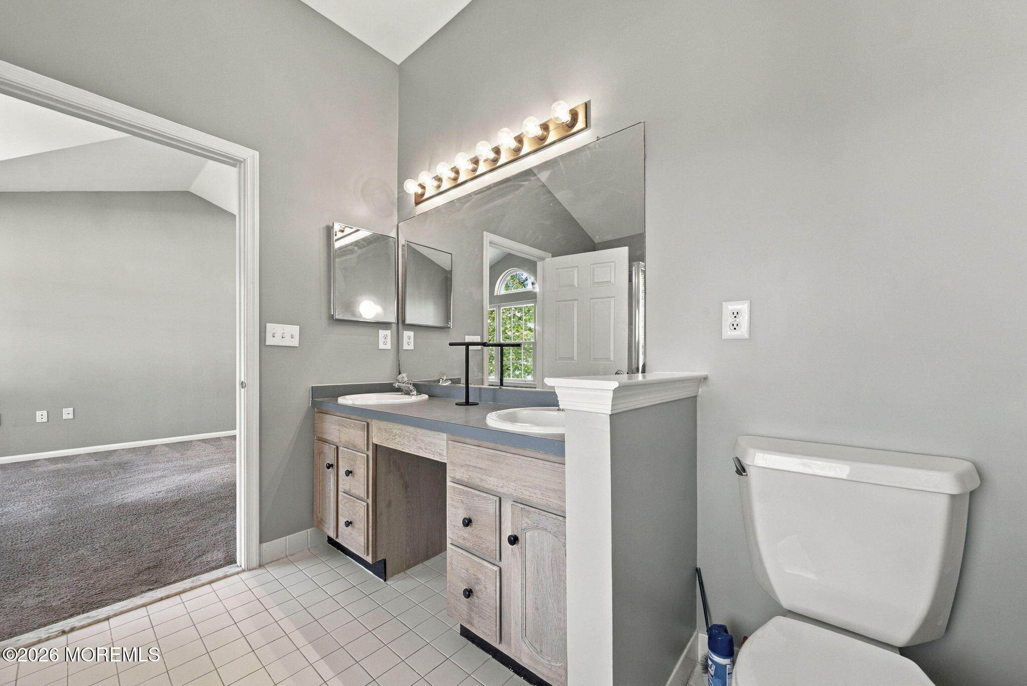 10 Morrisfield Pass, Colts Neck, NJ, 07722 image 39