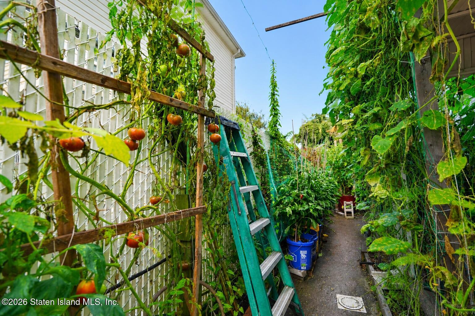 282 Seguine Avenue, Staten Island, NY, 10309 image 36