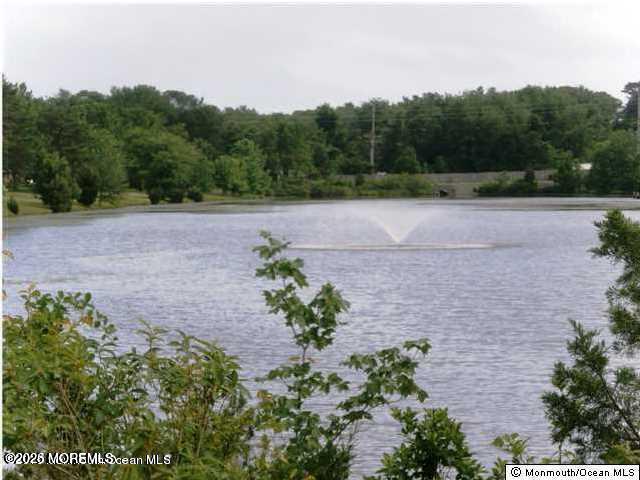 15 Clay Circle, Brick, NJ, 08724 image 19
