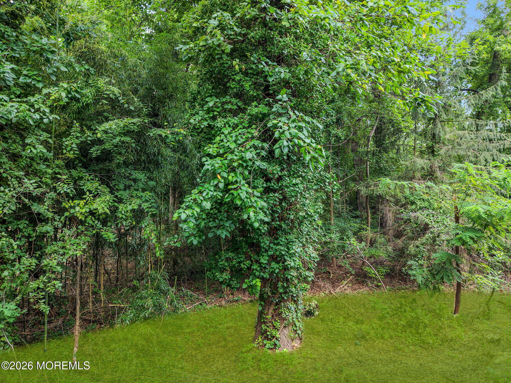 390 Church Street, Belford, NJ, 07718 image 48