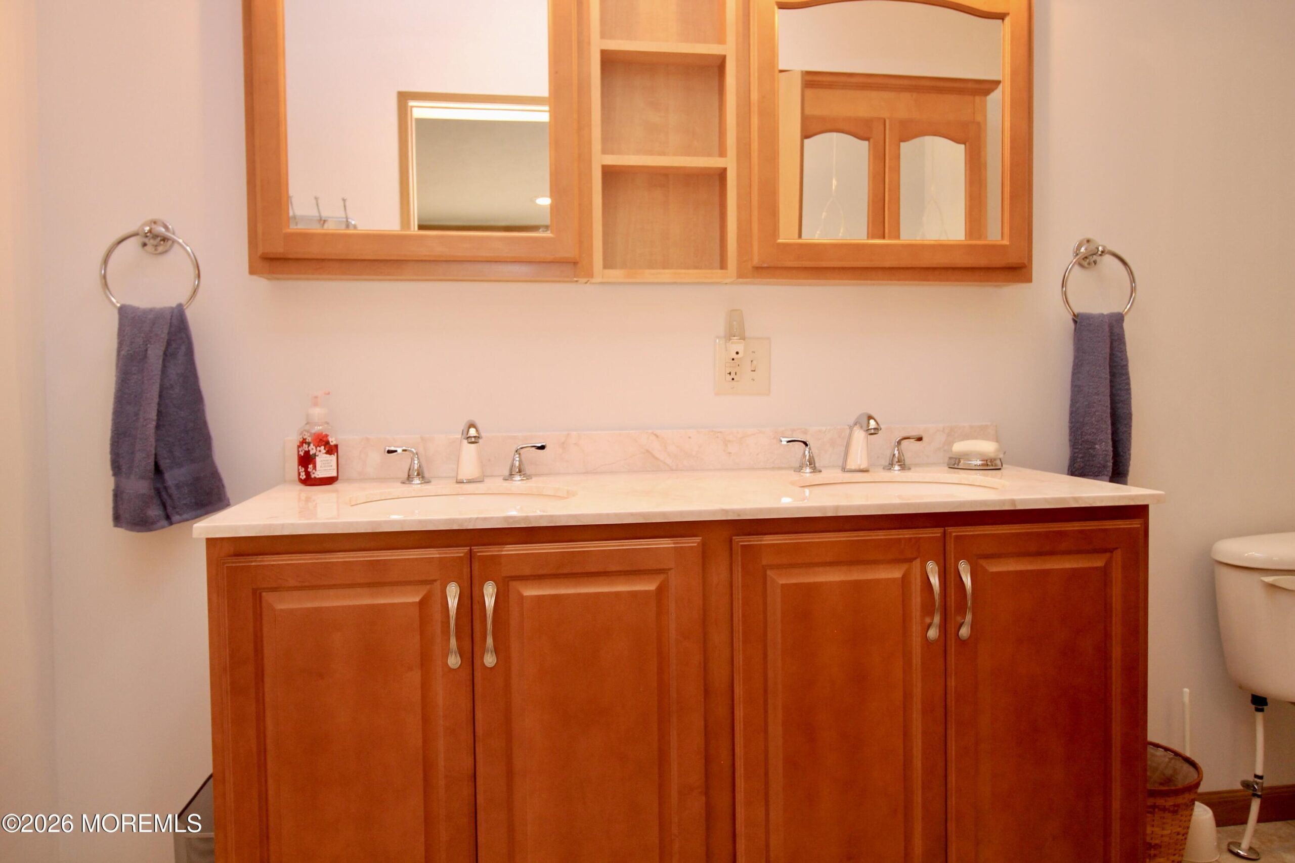 44 Silvermeade Drive, Freehold, NJ, 07728 image 22