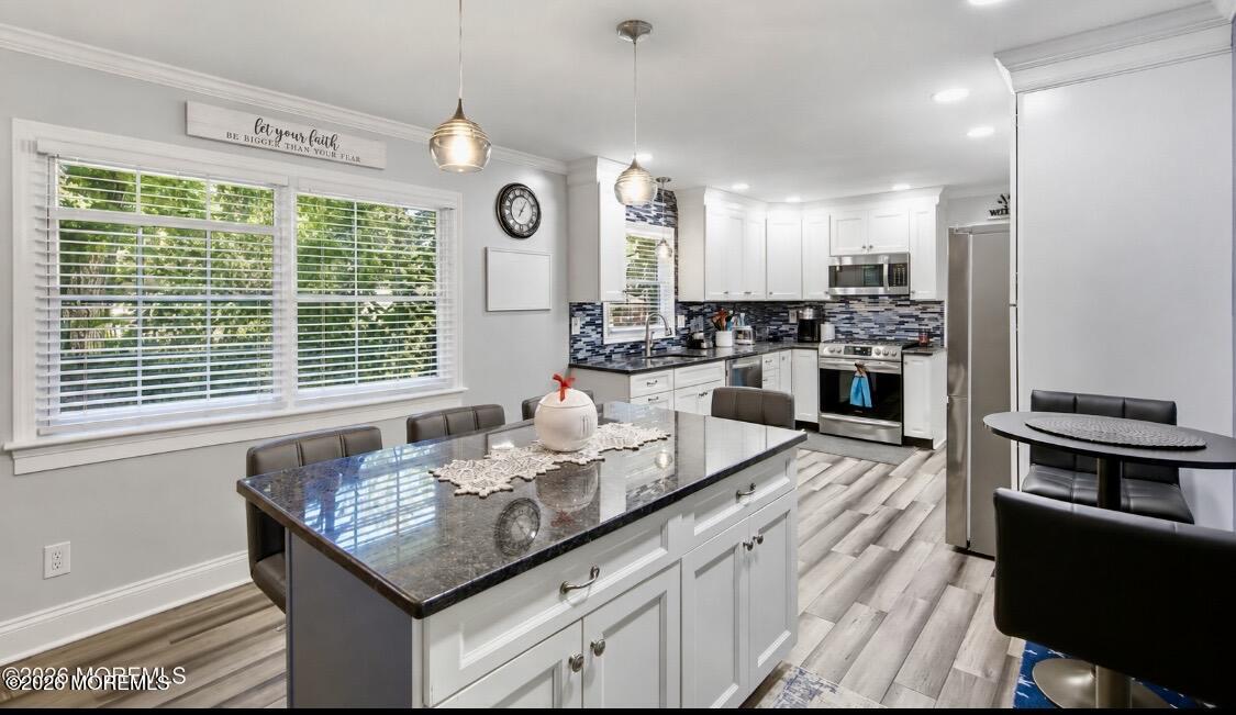 1129 Sylvan Drive, Toms River, NJ, 08753 image 11