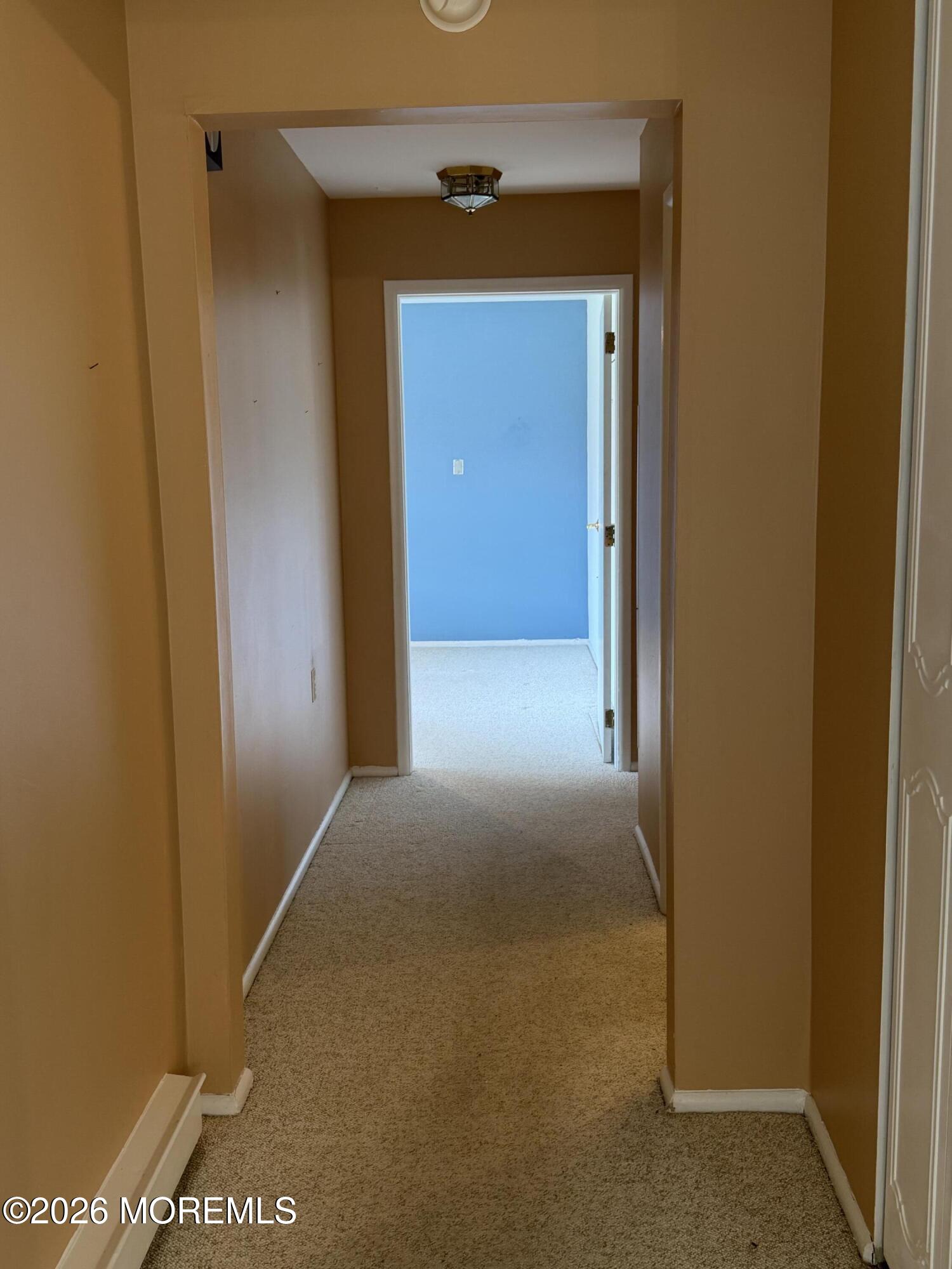 296C Dorchester Drive, Lakewood, NJ, 08701 image 22