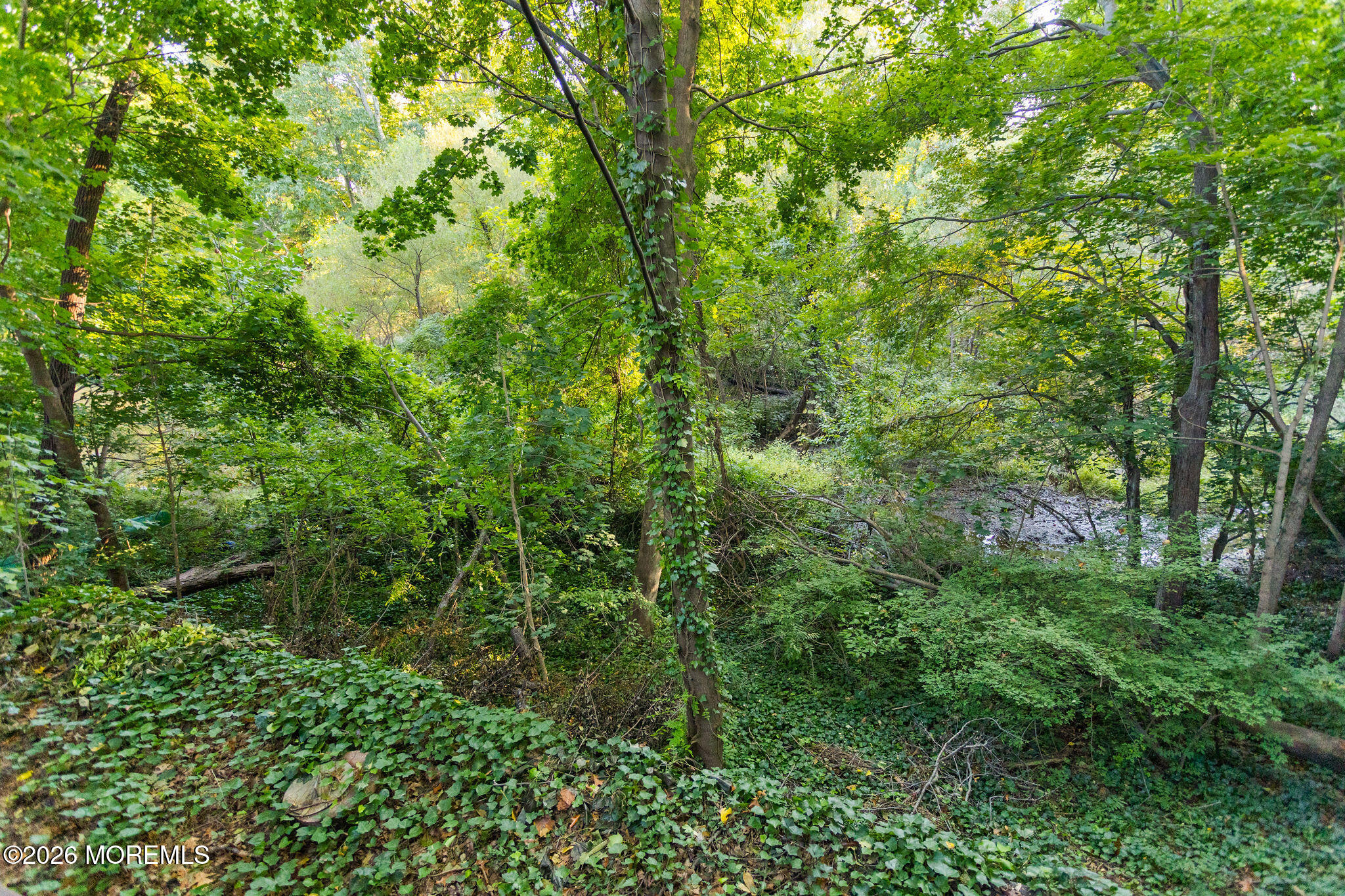 52 Ravine Drive, Matawan, NJ, 07747 image 32