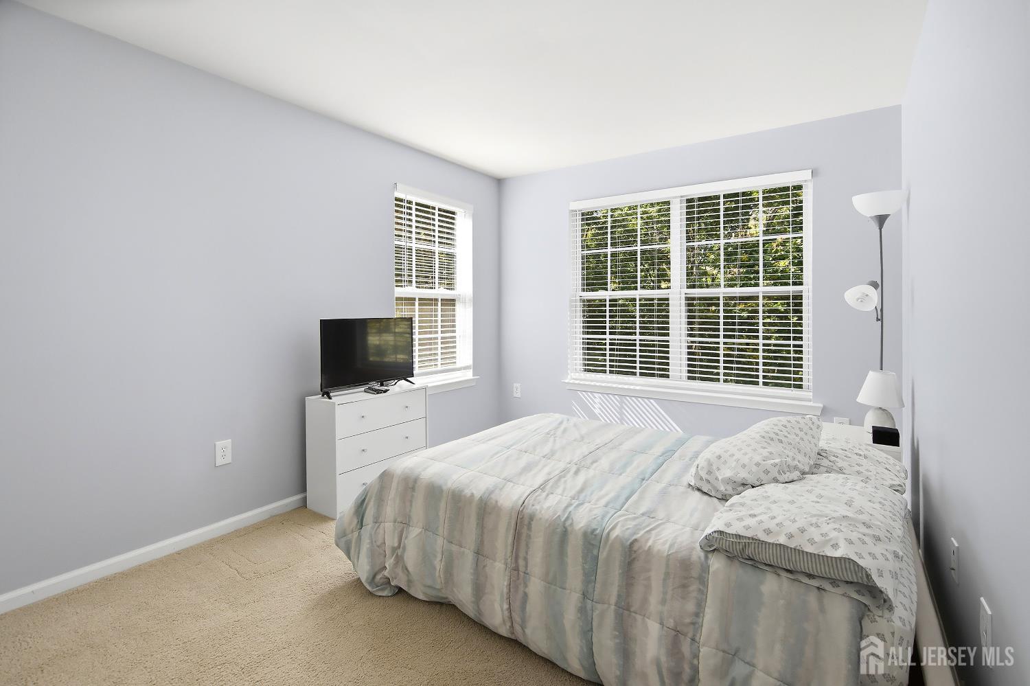 1105 Fir Court, Franklin Twsp, NJ, 08873 image 14