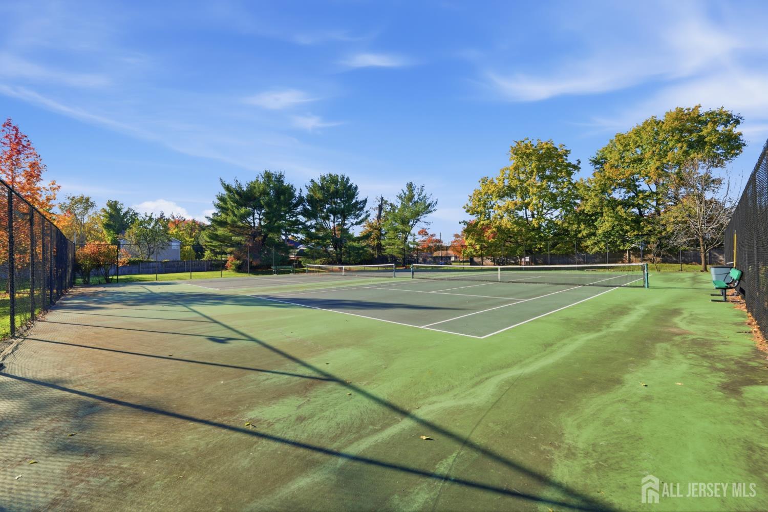 17 Park Gate Drive, Edison, NJ, 08820 image 33