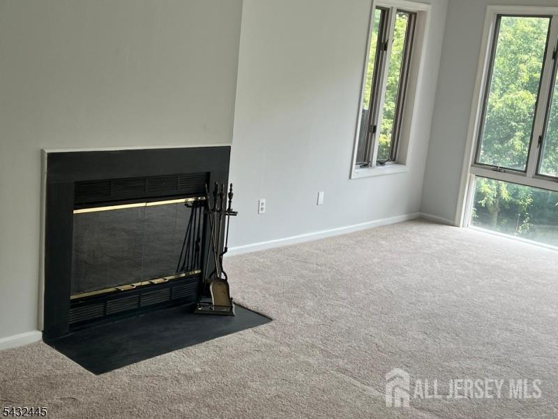 34 Mews Lane, Essex County, NJ, 07079 image 6