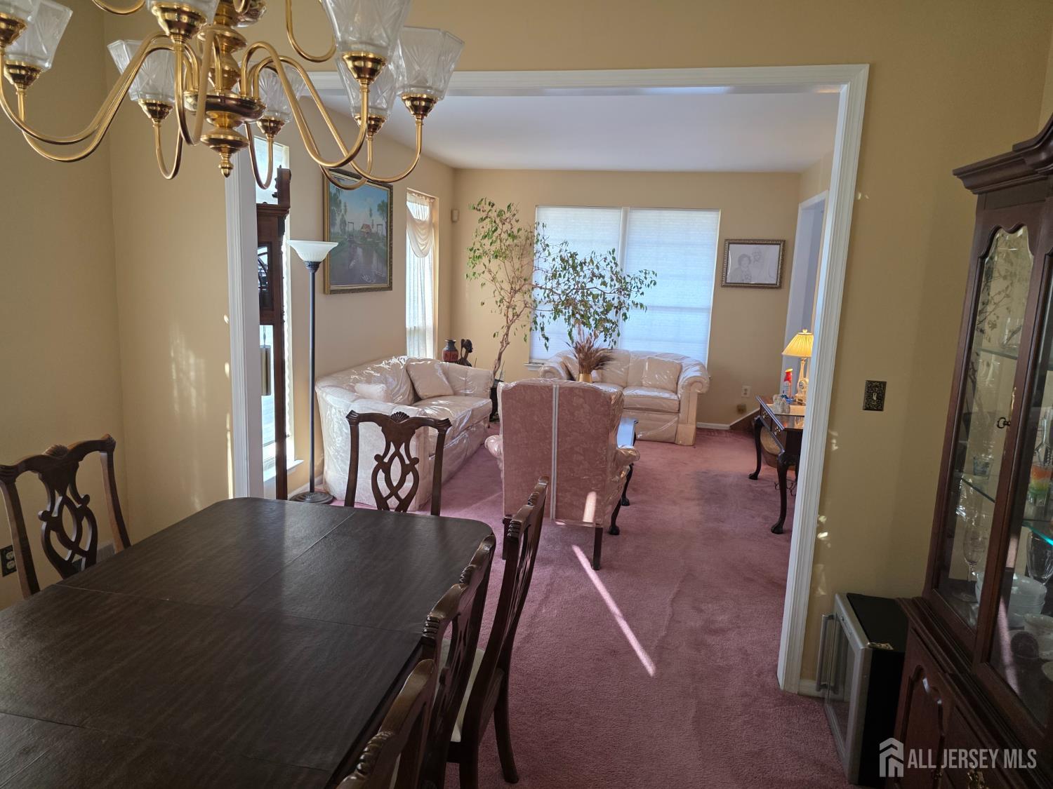 41 magellan Way, Franklin Twsp, NJ, 08823 image 8