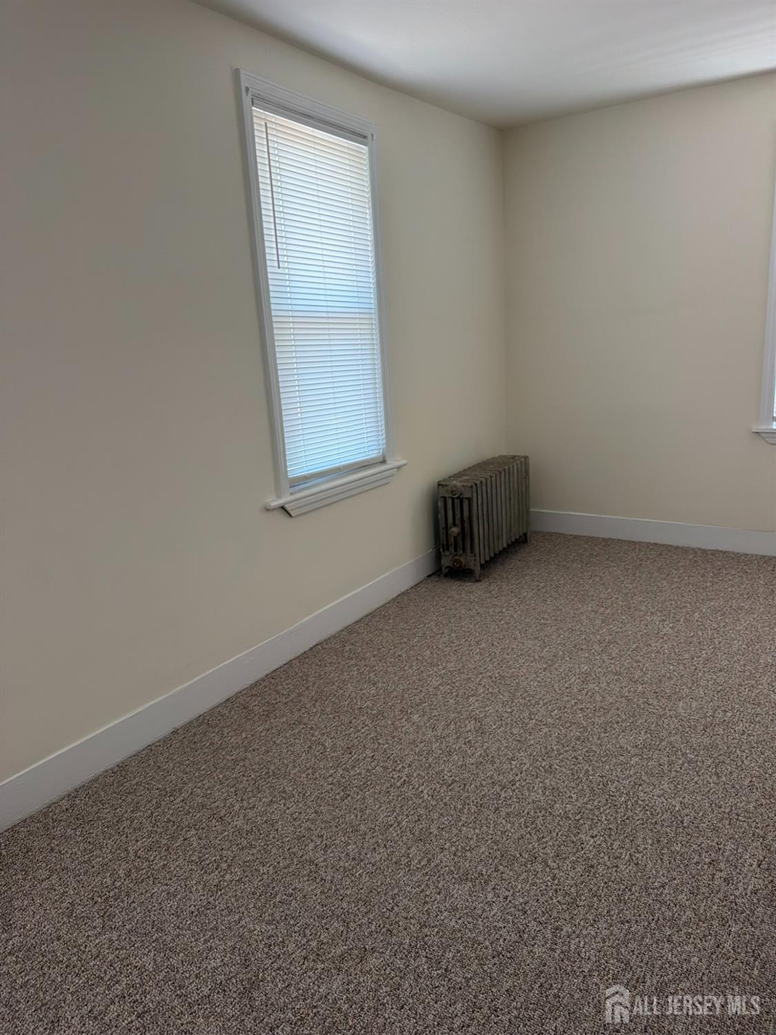 231 Clinton Street, Woodbridge Proper, NJ, 07095 image 11