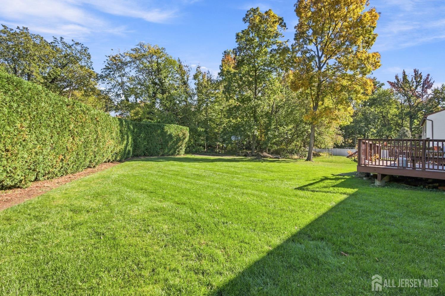 1 Pine Ridge Drive, Edison, NJ, 08820 image 46