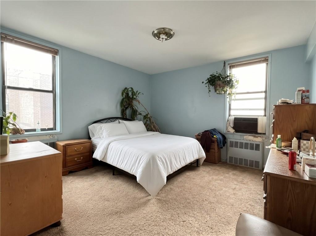 3060 Ocean Avenue 2D, Brooklyn, New York, 11235 image 6