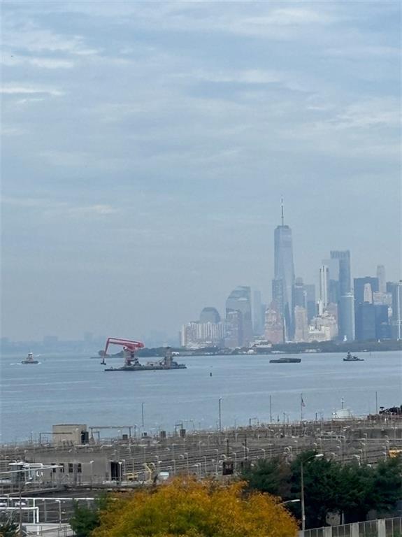 6833 Shore Road Road 4B, Brooklyn, New York, 11220 image 15