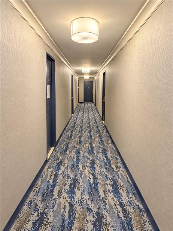 2650 Ocean Parkway 6E, Brooklyn, New York, 11235 image 14