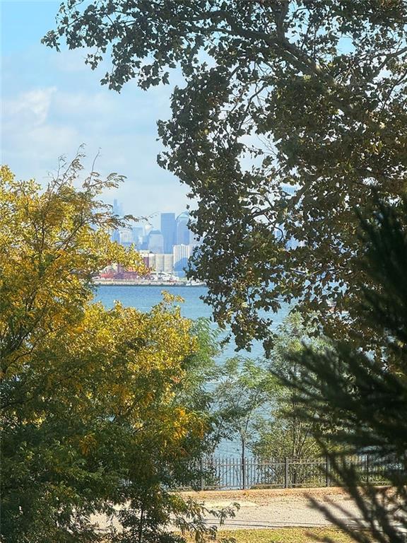 350 Richmond Terrace 1W, Staten  Island, New York, 10301 image 21