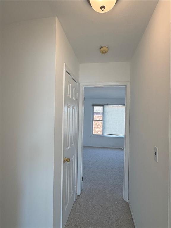 45 Deppe Place, Staten  Island, New York, 10314 image 12
