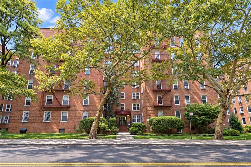 221 Mcdonald Avenue 1G Image 4