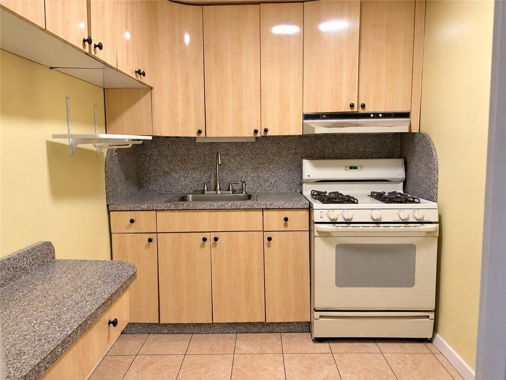 370 Ocean Parkway 3D, Brooklyn, New York, 11218 image 7