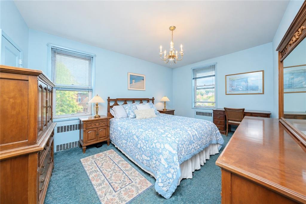 22 Webster Avenue 4F, Brooklyn, New York, 11230 image 12
