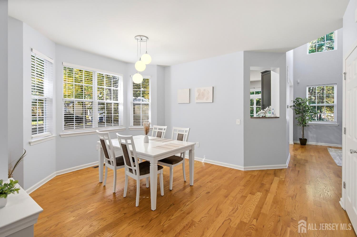 1105 Fir Court, Franklin Twsp, NJ, 08873 image 8