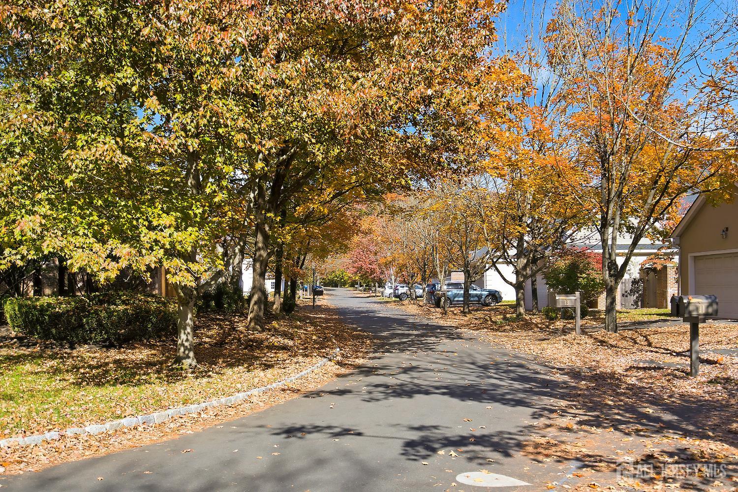 20 Governors Lane, Princeton, NJ, 08540 image 29