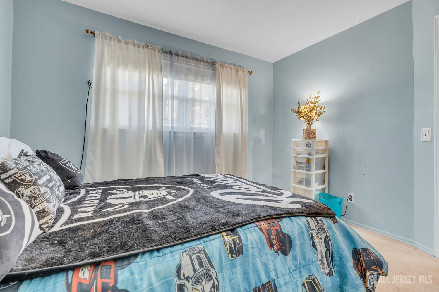 12 Emma Place, Piscataway, NJ, 08854 image 22
