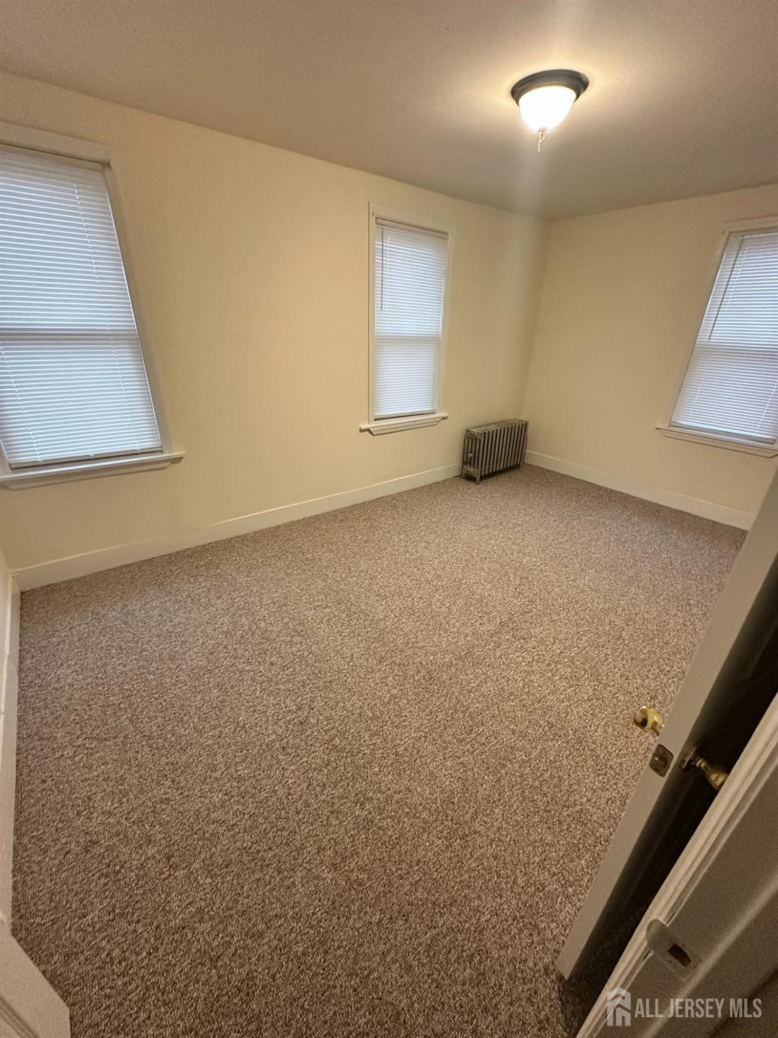 231 Clinton Street, Woodbridge Proper, NJ, 07095 image 25