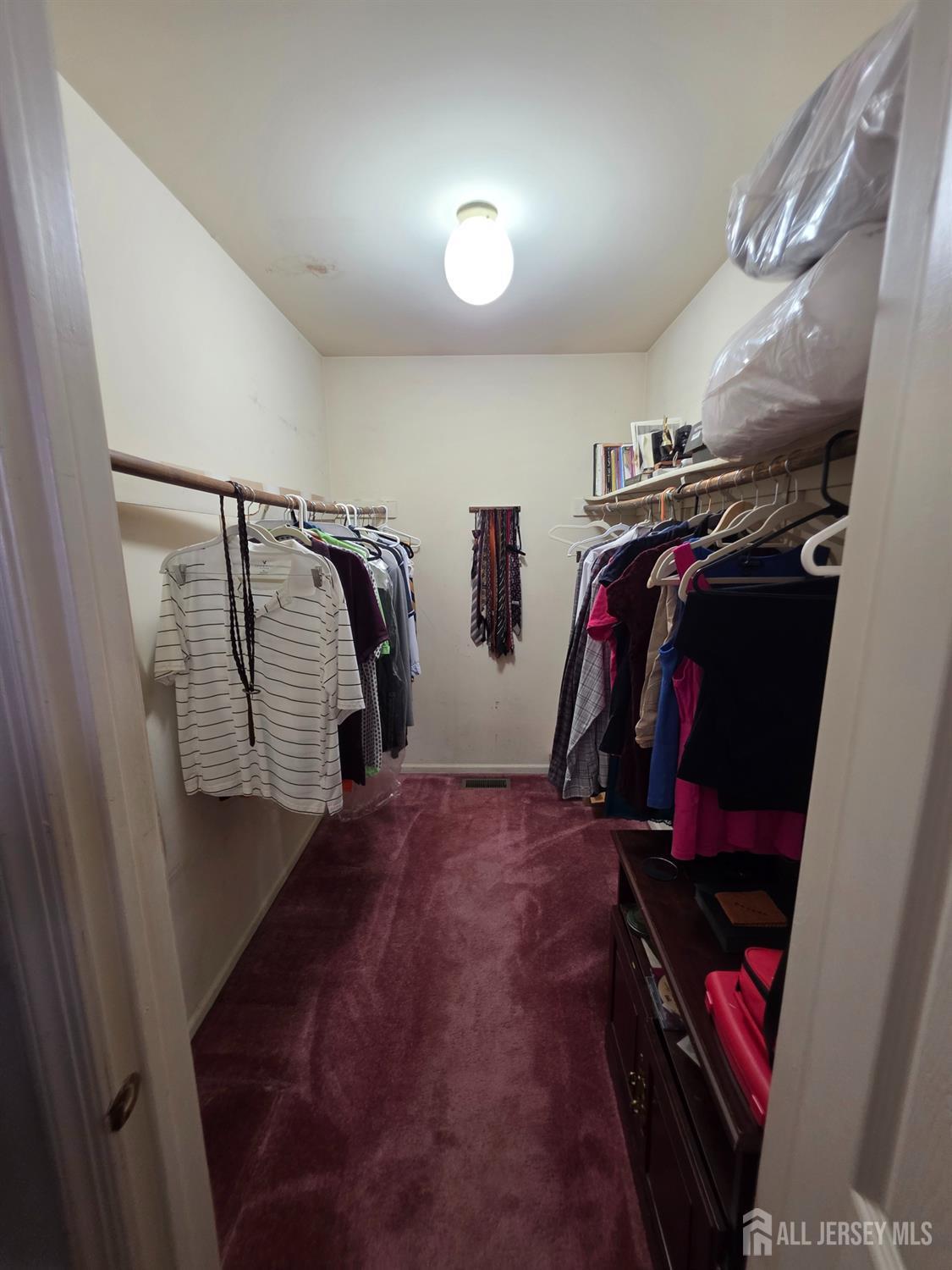 41 magellan Way, Franklin Twsp, NJ, 08823 image 17