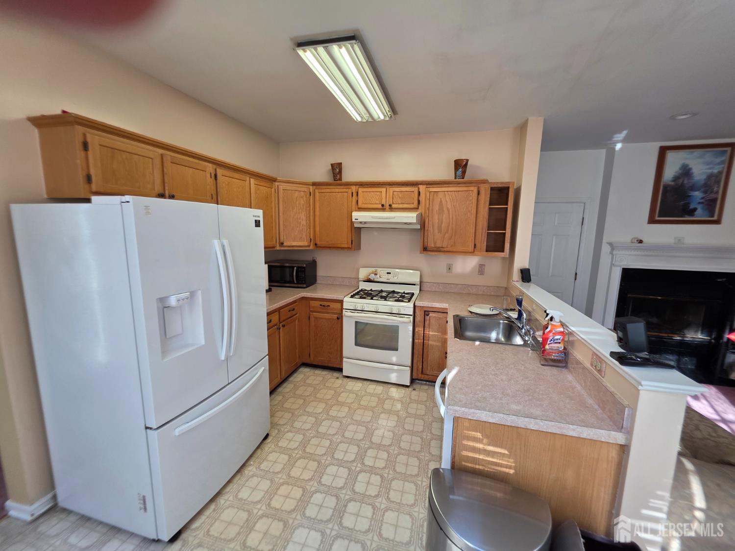 41 magellan Way, Franklin Twsp, NJ, 08823 image 9