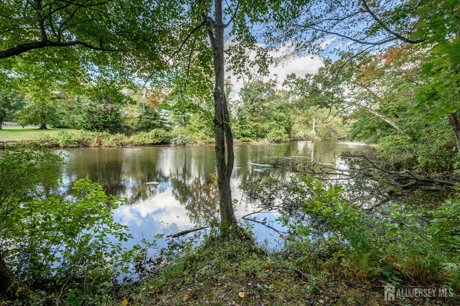 14 Lauren Lane, Plumsted, NJ, 08533 image 46