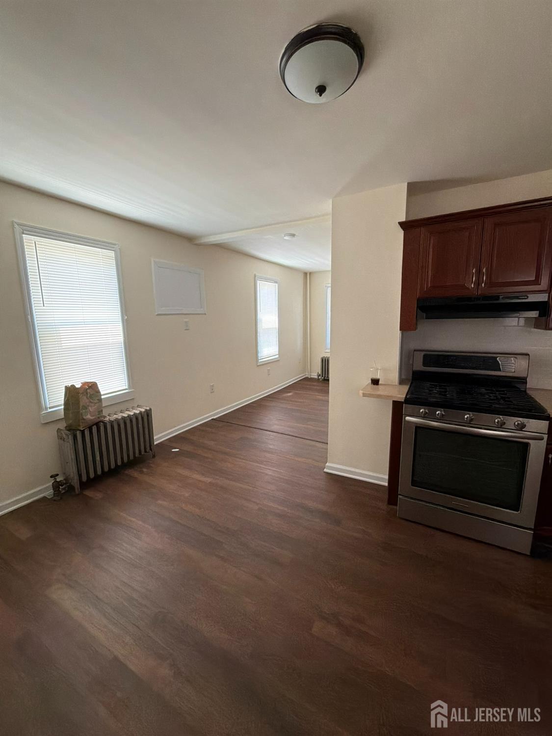 231 Clinton Street, Woodbridge Proper, NJ, 07095 image 15