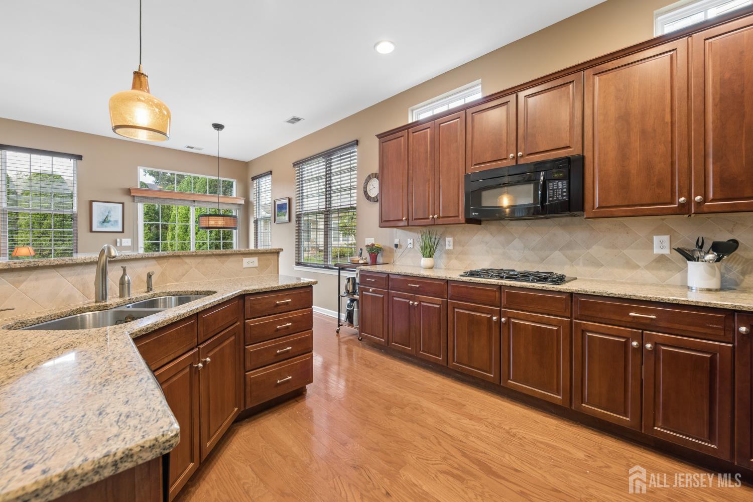 36 Einstein Way, East Windsor, NJ, 08512 image 20