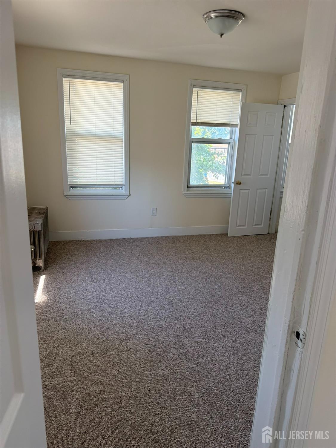 231 Clinton Street, Woodbridge Proper, NJ, 07095 image 9
